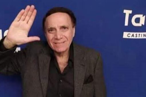 الفنان فكرى عبد الحميد