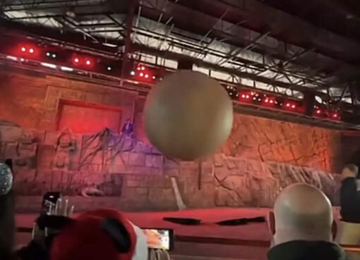 حادث عرض إنديانا جونز في ديزني